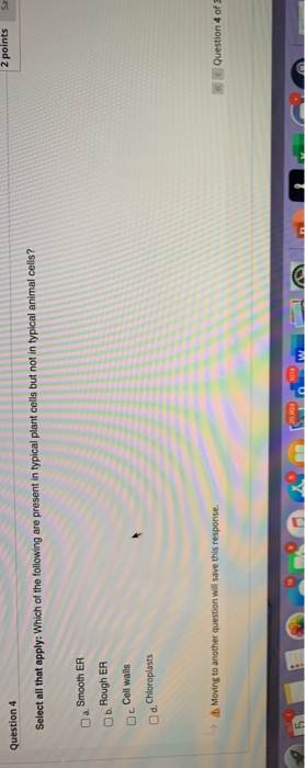 Solved Question 4 2 points Sa Select all that apply: Which | Chegg.com