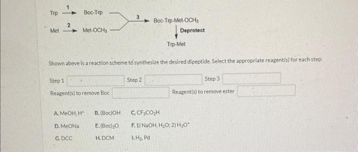 Shown above is a reactionscheme to synthesize the desired dipeptide. Select the appropriate reagent(s) for each step.
Step 1
