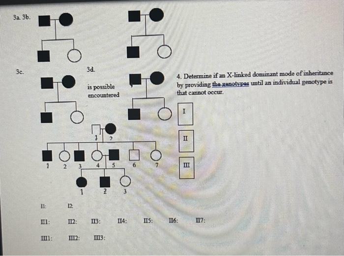 For each one of the pedigrees below in numbers 1-3, | Chegg.com