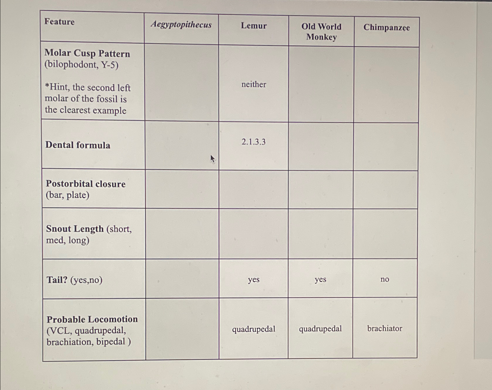 Solved \table[[Feature,Aegyptopithecus,Lemur,\table[[Old