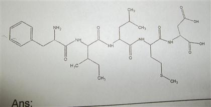 Solved 1. Draw the structure of Glutathione (glutamic acid