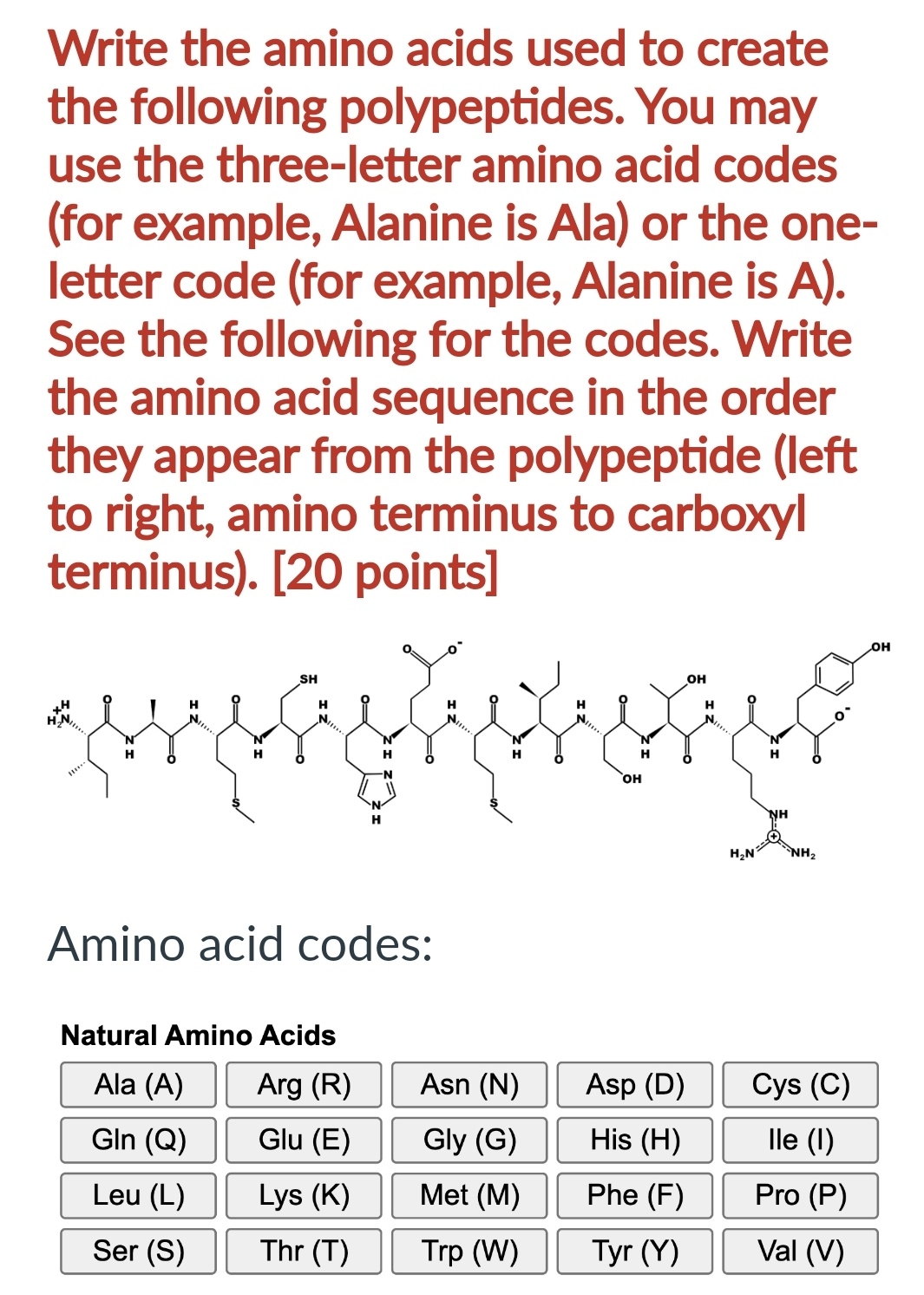 Solved Write the amino acids used to create the following | Chegg.com
