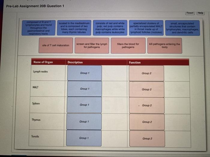 pre lab assignment 20b question 1