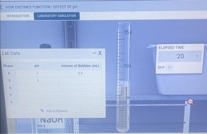 Solved What Are The PH And Volume Of Bubbles (ml)for Phase | Chegg.com