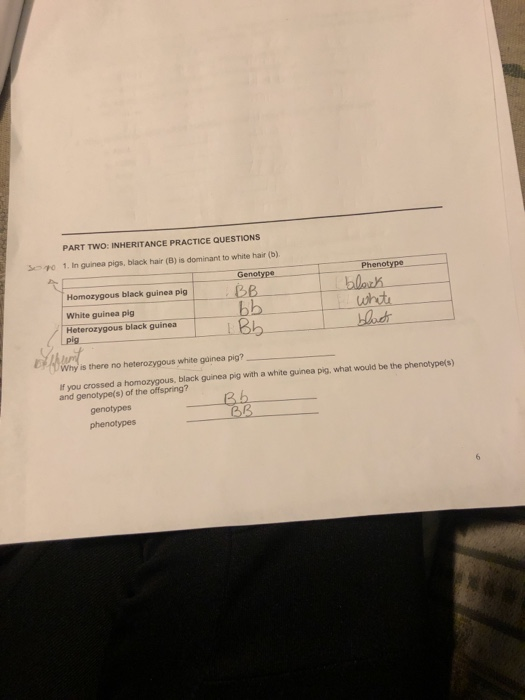 Solved 3 Part Two Inheritance Practice Questions 1 In G Chegg Com