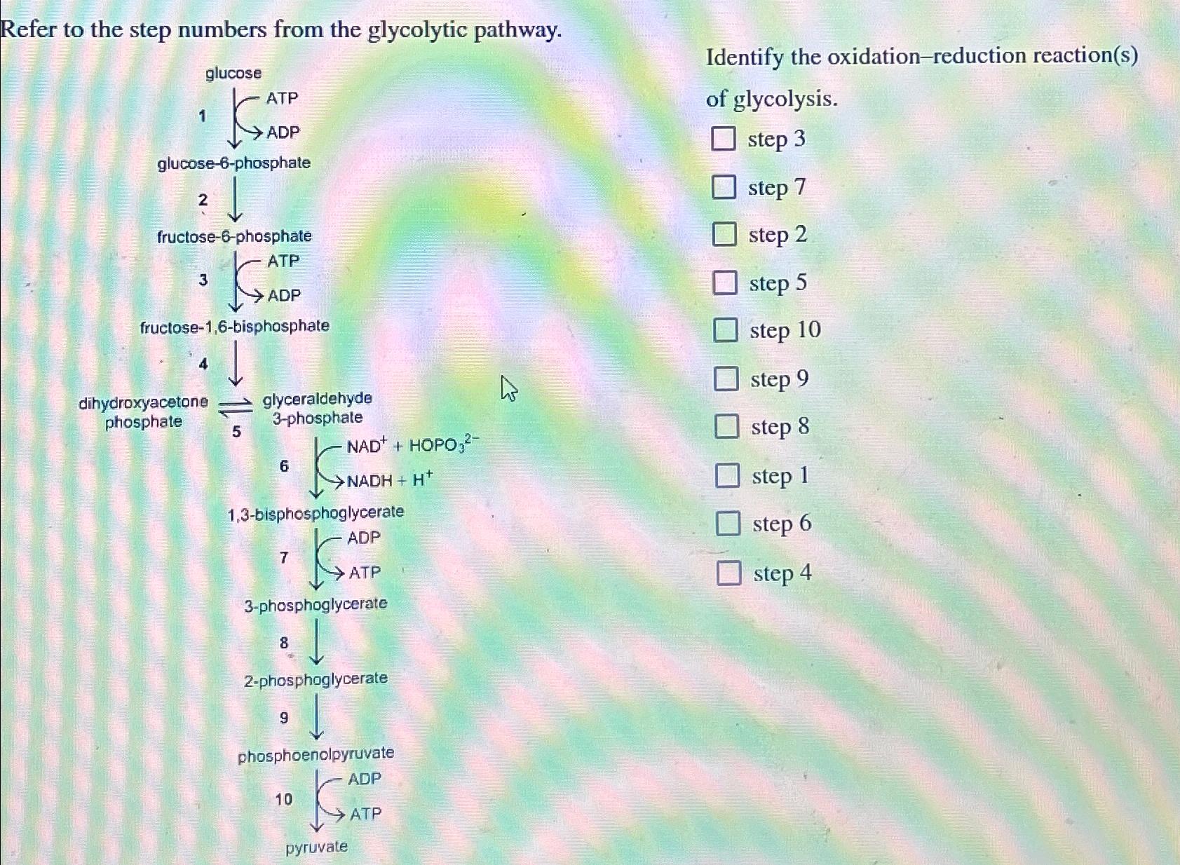 Solved Refer to the step numbers from the glycolytic | Chegg.com