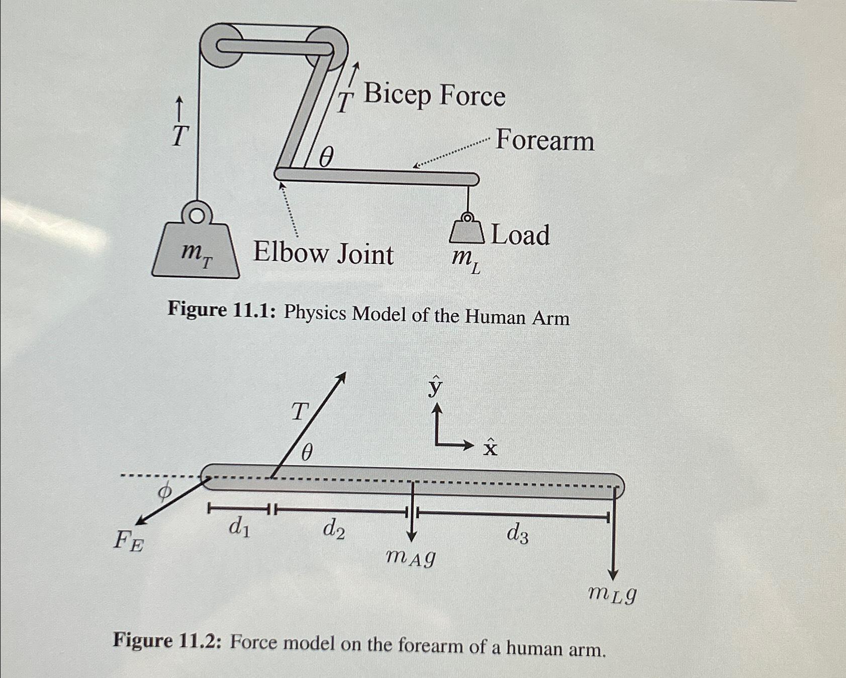 Solved Based on the figures below, how could an experiment | Chegg.com