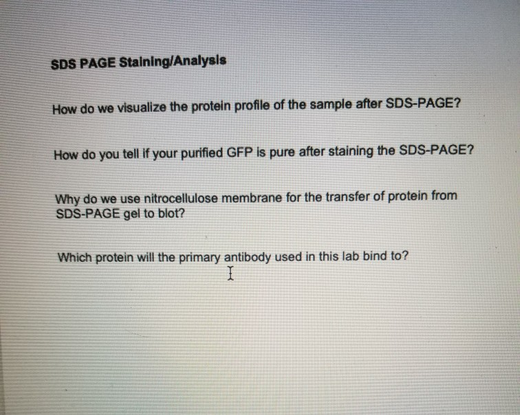 Sds Page Analysis Of Gfp Lab Report 20+ Pages Solution Doc [1.1mb] - Latest Update 