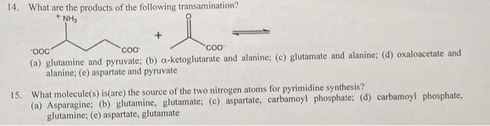 4. What are the products of the following transamination?
(a) glutamine and pyruvate; (b) \( \alpha \)-ketoglutarate and alan