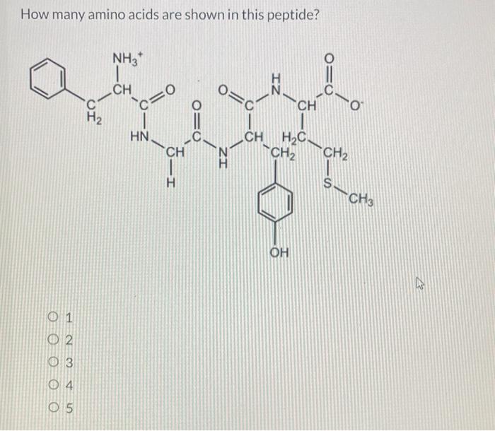 Solved How many amino acids are shown in this peptide?