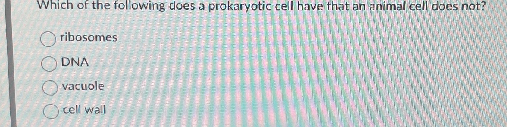 Solved Which of the following does a prokaryotic cell have | Chegg.com