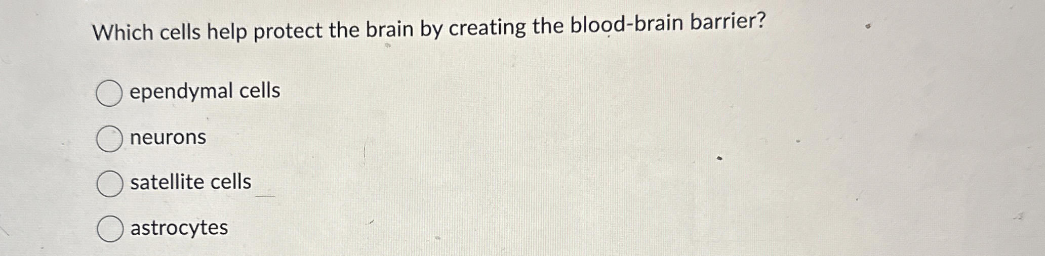 Solved Which cells help protect the brain by creating the | Chegg.com