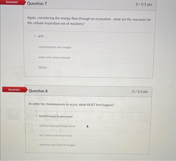 Solved Again, considering the energy flow through an | Chegg.com
