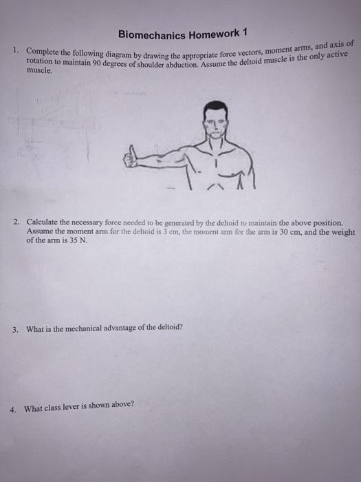 Solved four questions about biomechanicswould you show me | Chegg.com