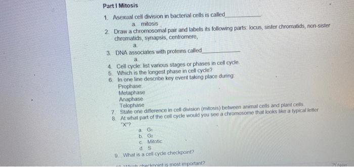 Solved Part I Mitosis 1. Asexual cell division in bacterial | Chegg.com