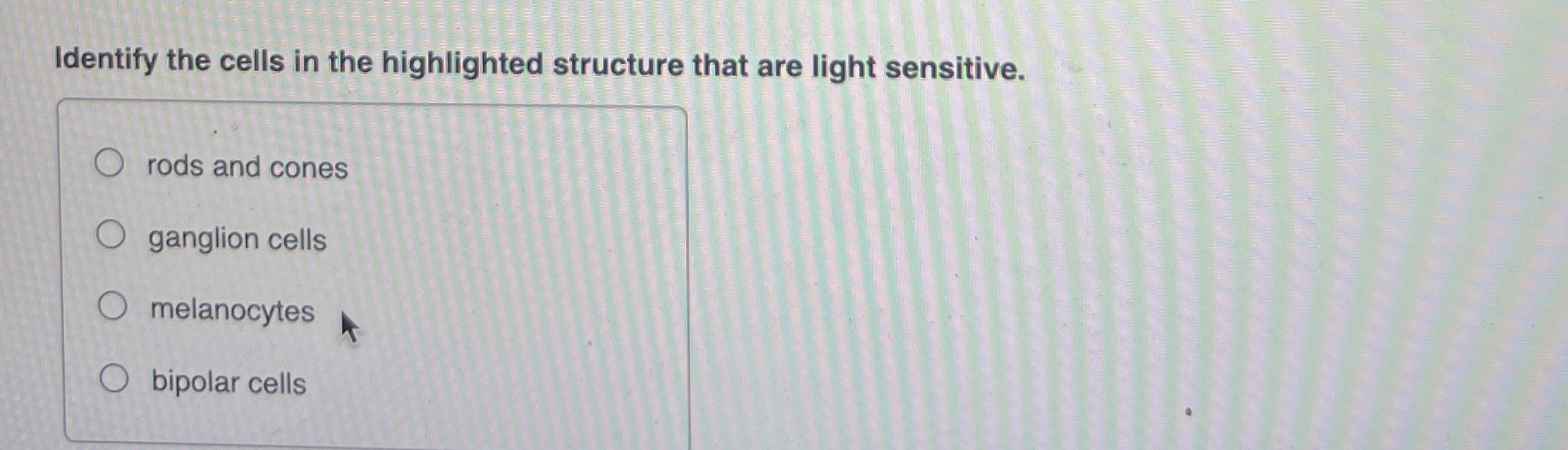 Solved Identify the cells in the highlighted structure that | Chegg.com
