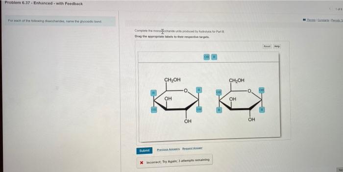 3 Of 6 Complete The Monosaccharide Units Produced By | Chegg.com