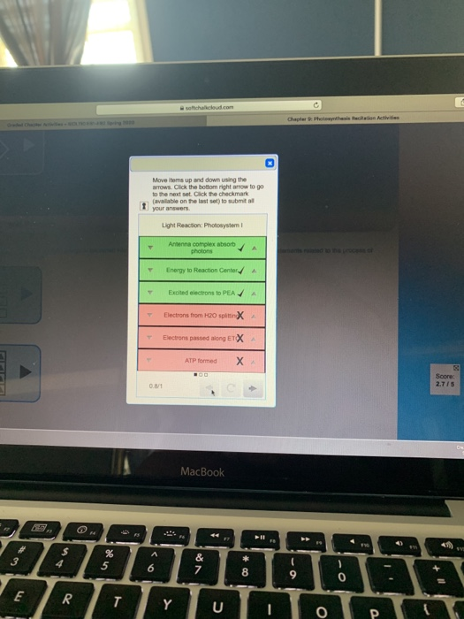 Solved Chapter Fotos Citation Active Moveitems Up And Dow Chegg Com