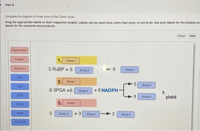 Part A
Complete the diagram of three turns of the Calvin cycle.
Drag the appropriate labels to their respective targets. Labe