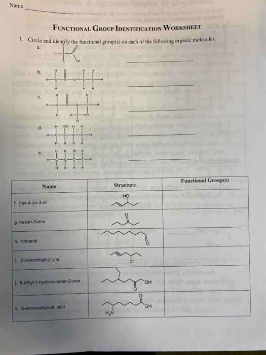 Solved Name FUNCTIONAL GROUP IDENTIFICATION WORKSHEET 1. | Chegg.com