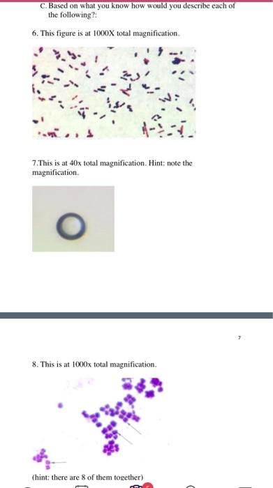 Solved C. Based on what you know how would you describe each | Chegg.com