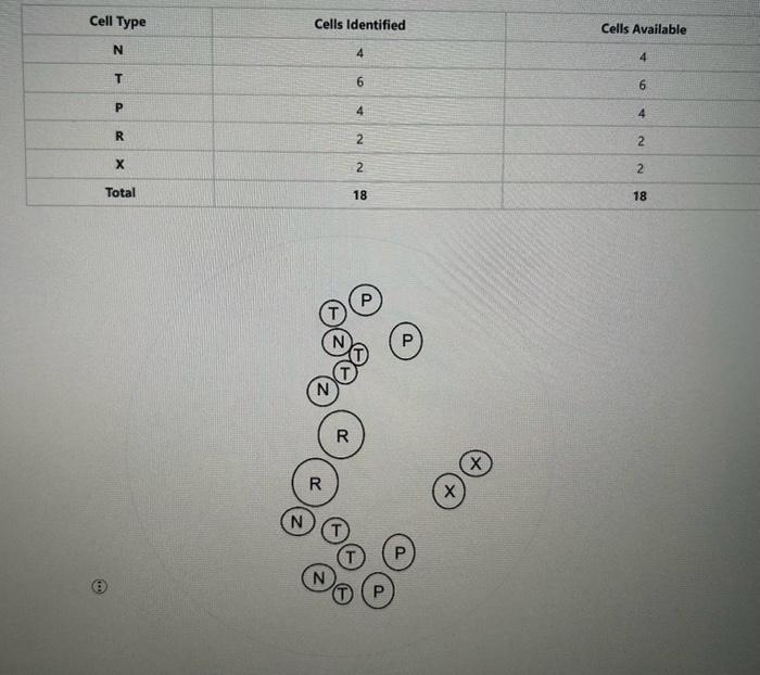 Solved What does it mean that R cells show an action | Chegg.com