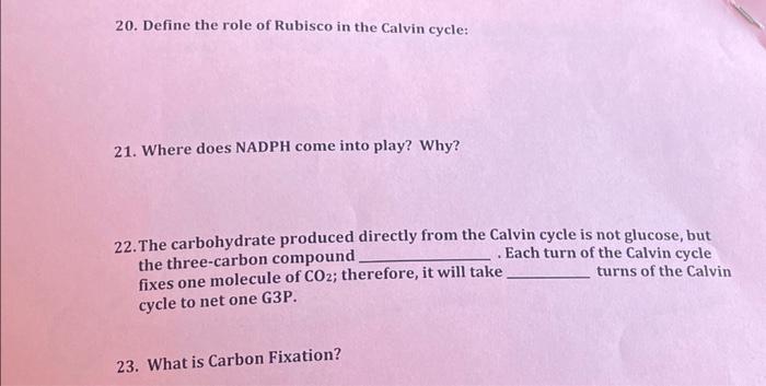 solved-20-define-the-role-of-rubisco-in-the-calvin-cycle-chegg