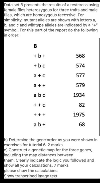 Solved Data set B presents the results of a testcross using | Chegg.com