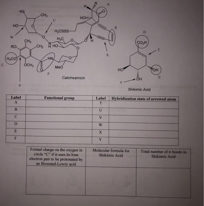 Solved A H RS CHE HOI HO B D HyCSSS HEC W CH3 H CO2H RO CHE