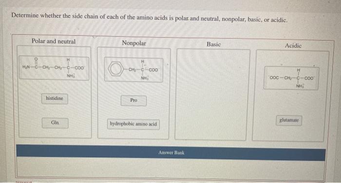 Solved Determine whether the side chain of each of the amino | Chegg.com