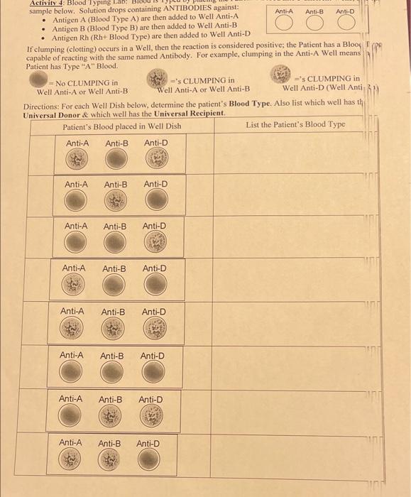 Solved Activity 4 Blood Typing La Sample Below. Solution | Chegg.com