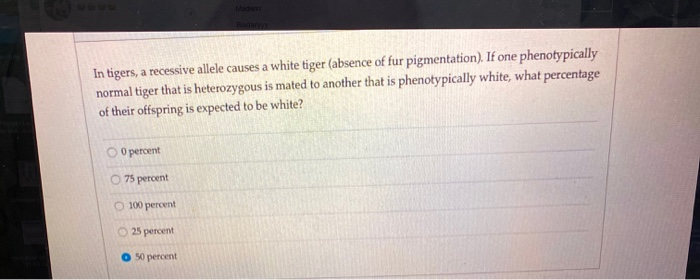 Solved In Tigers, A Recessive Allele Causes A White Tiger 