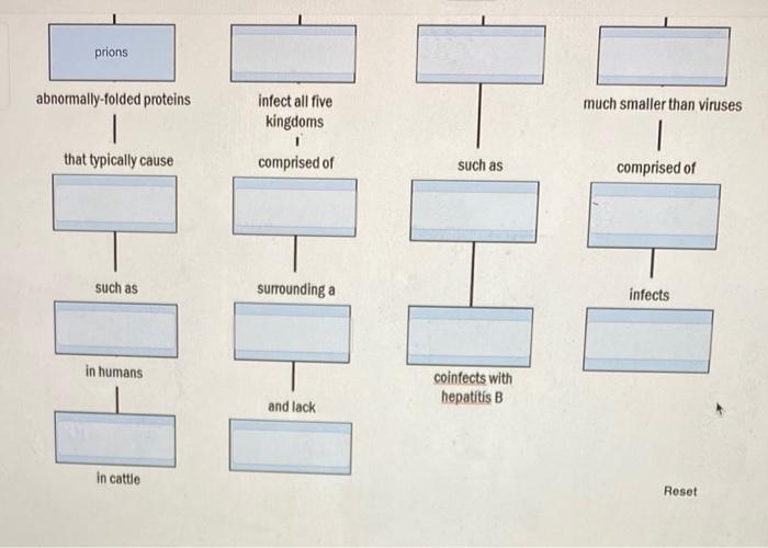 Solved Move the terms into the correct empty boxes to