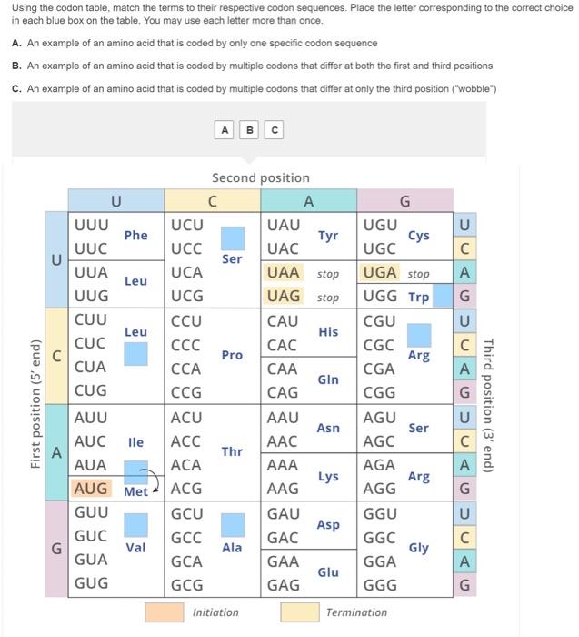 Solved Using the codon table, match the terms to their | Chegg.com