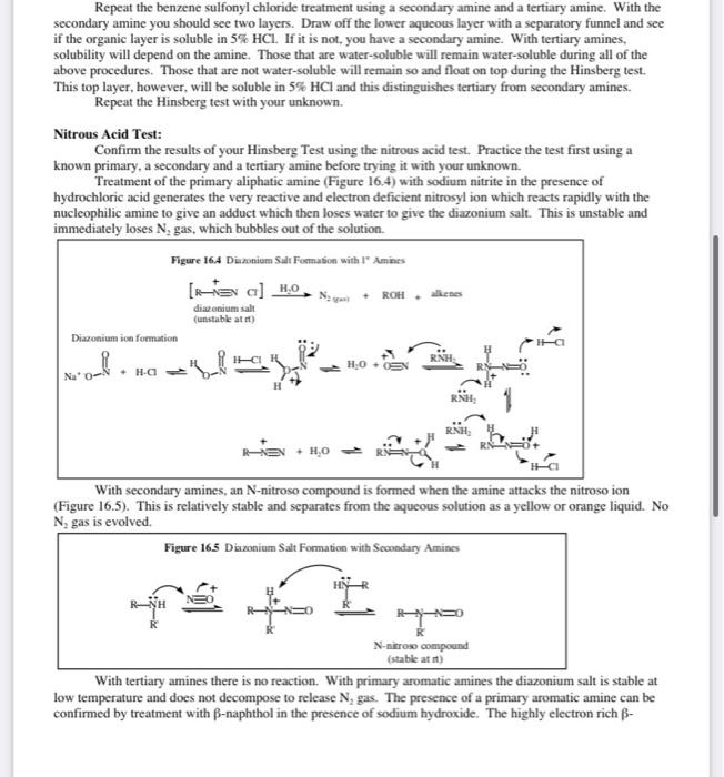 Solved Qualitative Analysis of Amines and Amine Unknown In | Chegg.com