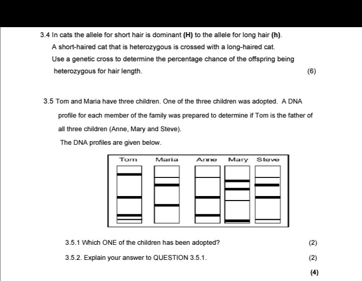 Solved 3 4 In Cats The Allele For Short Hair Is Dominant H