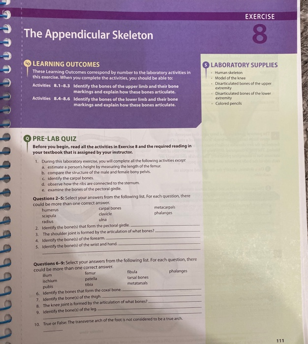Exercise The Appendicular Skeleton 8 Learning Chegg 