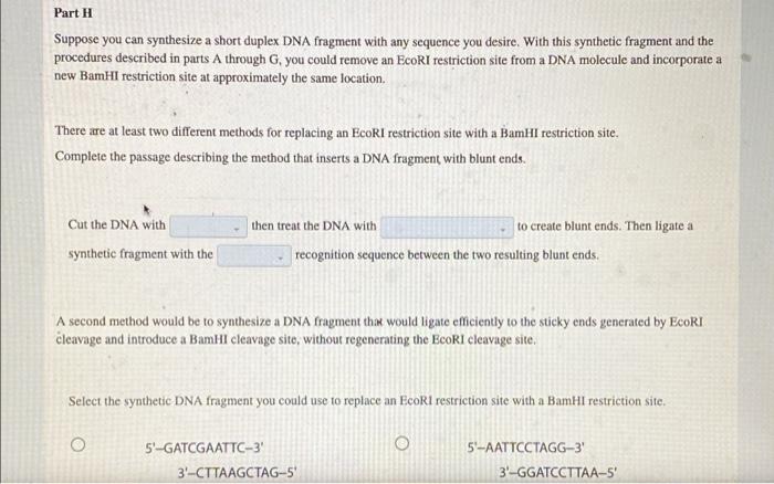 Solved Part 1 Suppose you can synthesize a short duplex DNA | Chegg.com