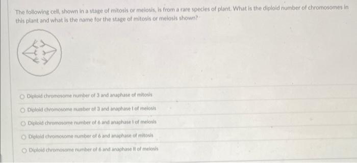 Solved The following cell, shown in a stage of mitosis or | Chegg.com