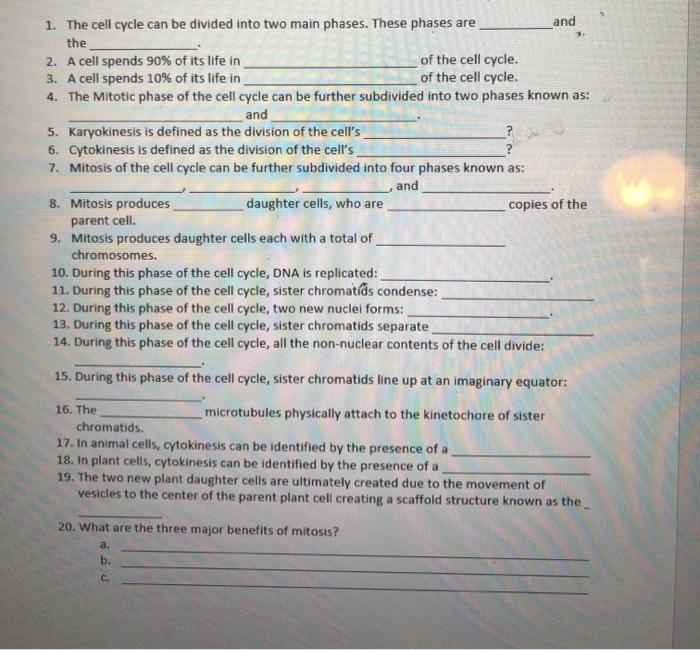 Solved 1. The cell cycle can be divided into two main | Chegg.com