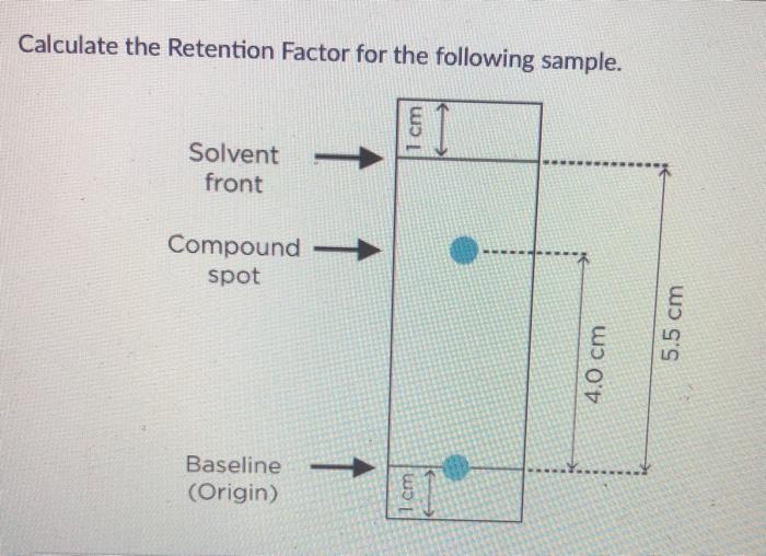 Solved Calculate the Retention Factor for the following | Chegg.com