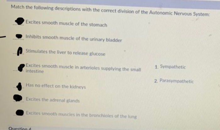 Solved Match the following descriptions with the correct | Chegg.com