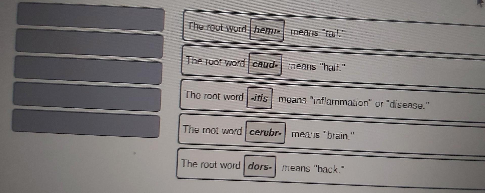 Solved The Root Word Hemi Means tail The Root Word itis Chegg