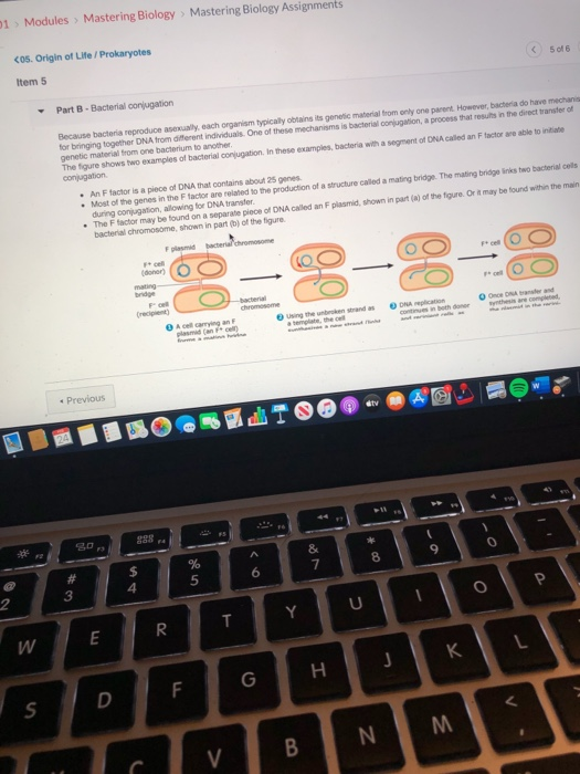 mastering biology homework 4