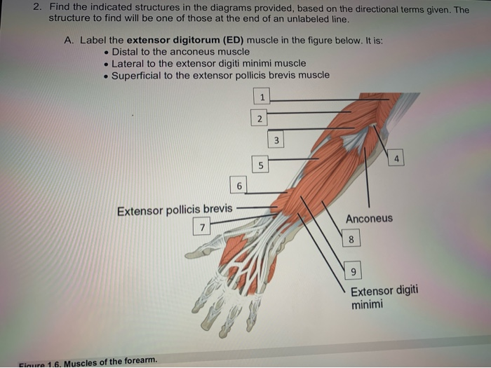 Solved 2. Find the indicated structures in the diagrams | Chegg.com