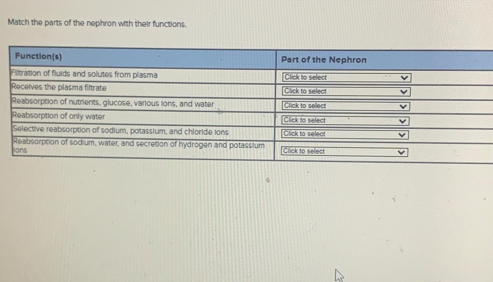 Solved Match the parts of the nephron with thelr