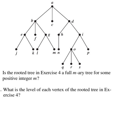 Solved a b d c e h k 1 mn р 9 r s Is the rooted tree in | Chegg.com