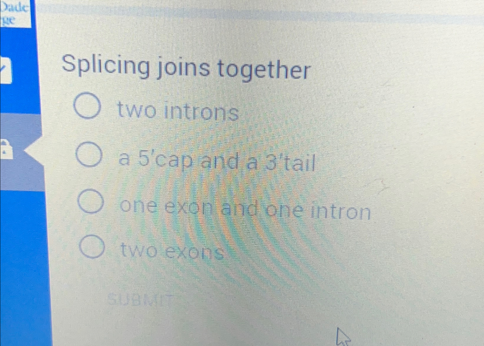Solved Splicing joins togethertwo intronsa 5'cap and a | Chegg.com