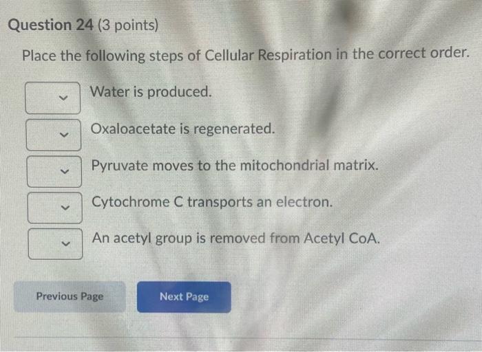 Solved Place the following steps of Cellular Respiration in | Chegg.com