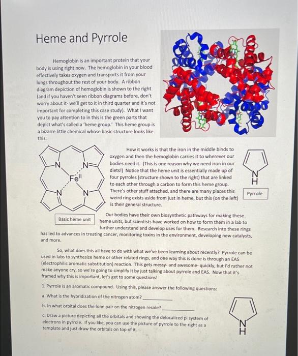 Solved Heme And Pyrrole Hemoglobin Is An Important Protein | Chegg.com